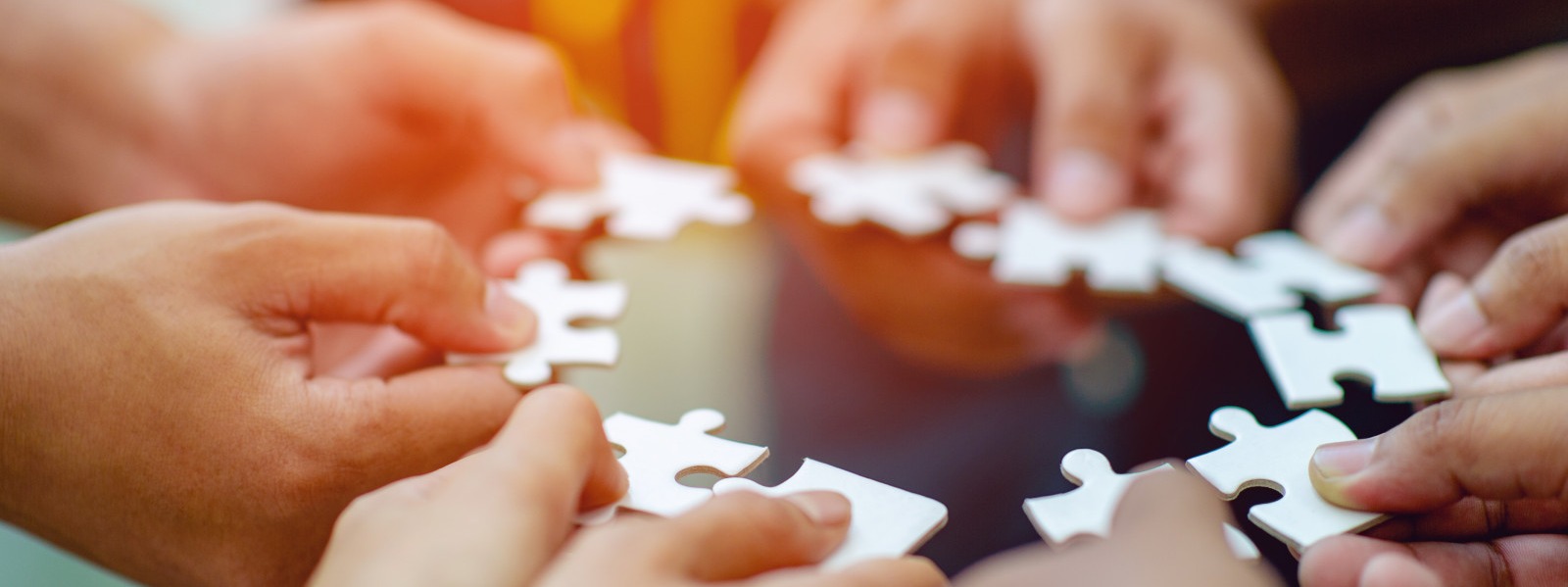 Travailler en intelligence collective pour améliorer les performances et la cohésion d'équipe