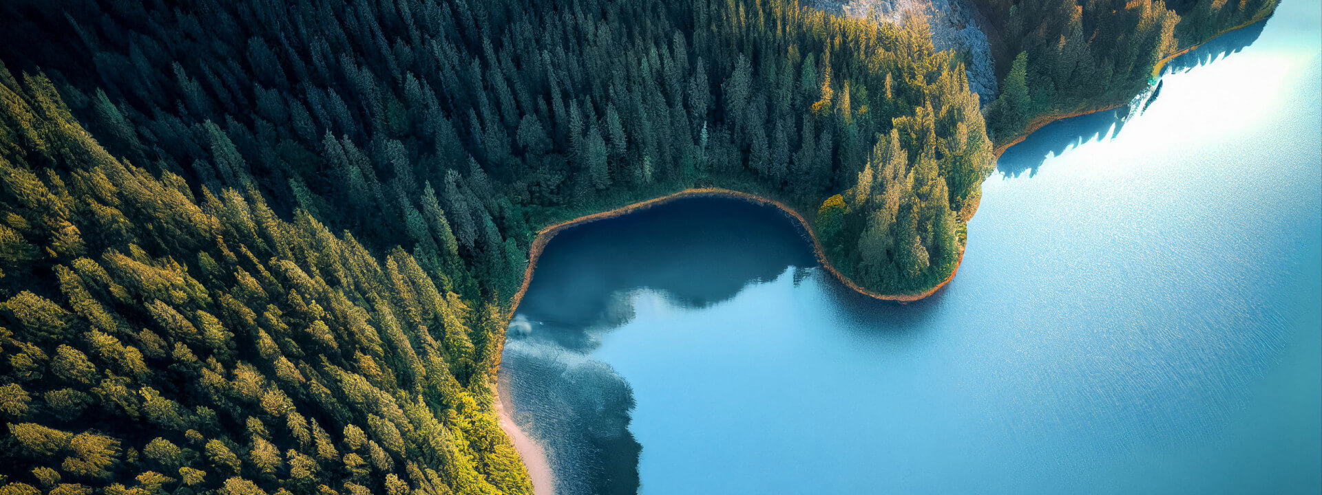 Gagner en assertivité : affirmer son rôle, convaincre avec respect